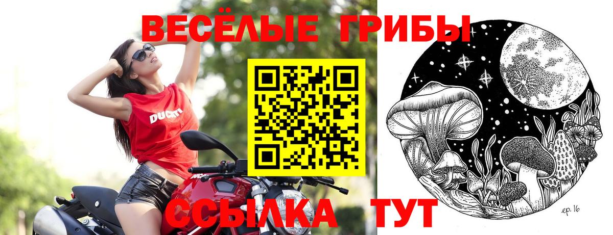 Псилоцибиновые грибы Psilocybe  Вход с VPN  Шадринск 