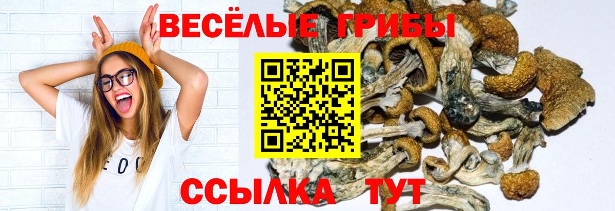 Псилоцибиновые грибы ЛСД Шадринск